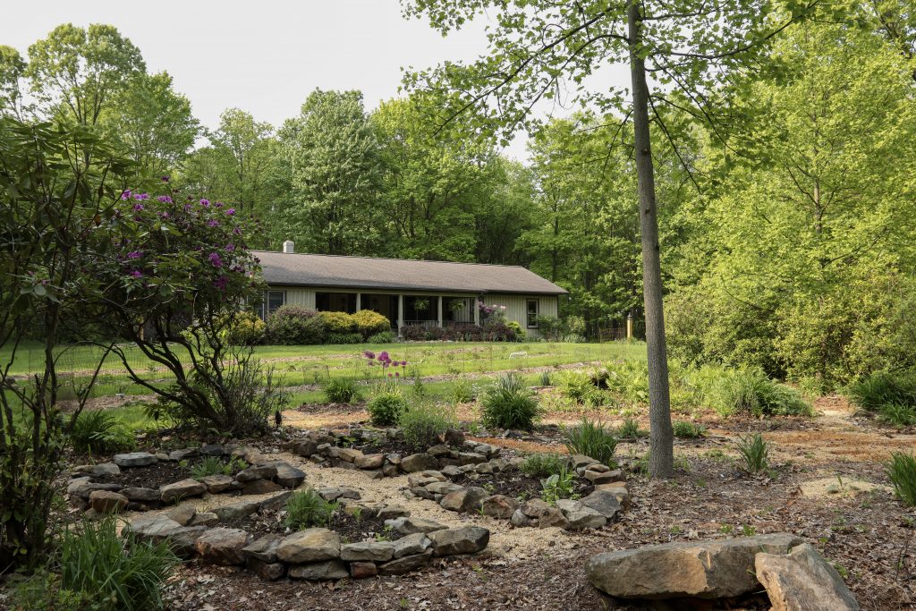 Wellness Workshops & Team Retreats